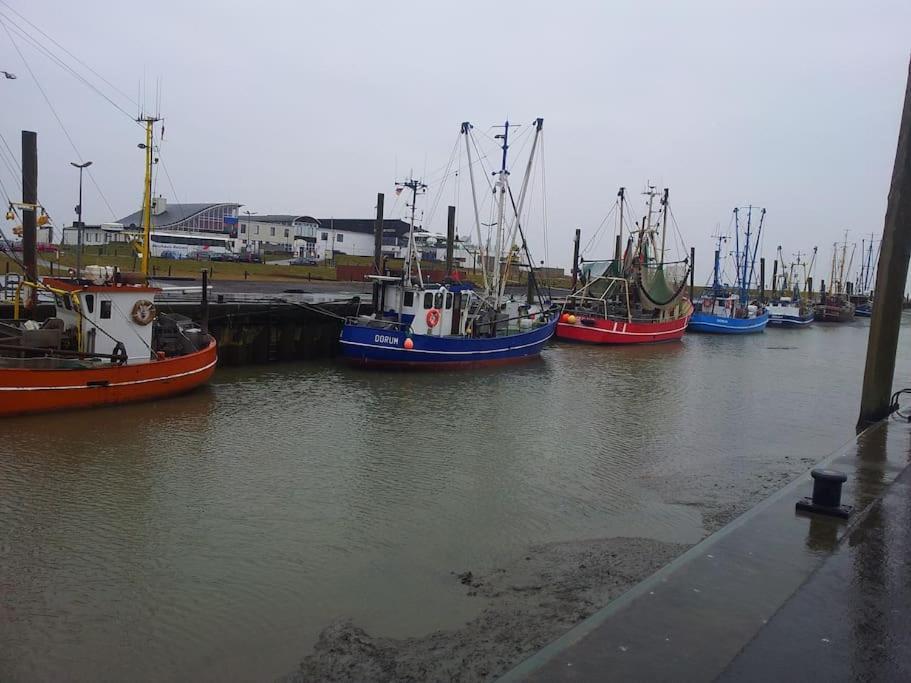 Nordsee Und Natur. Gemuetliche Fewo Mit Deichblick Dorum-Neufeld Exterior foto